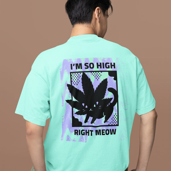 I'm So High Right Meow Heavyweight Oversized Tee